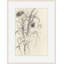 Autumn Seed Heads 1 Print-30760952