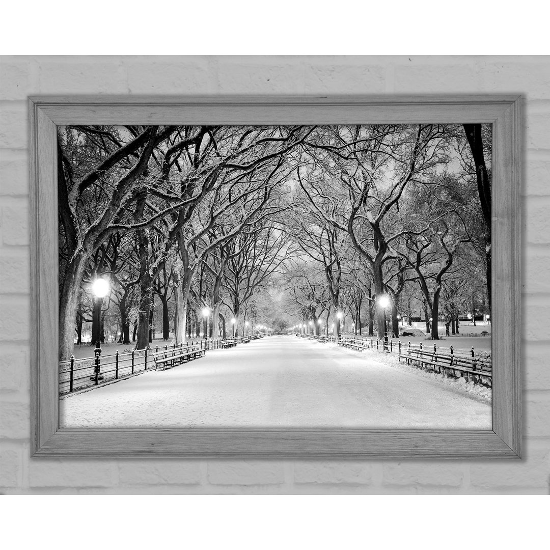 Winterspaziergang durch den Central Park - Einzelne Bilderrahmen Kunstdrucke