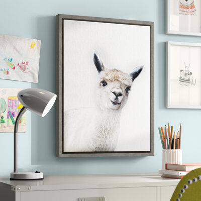 "Animal Studio Alpaca" par Amy Peterson, reproduction d'art sur toile encadrée