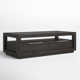 Santiago Coffee Table with Storage