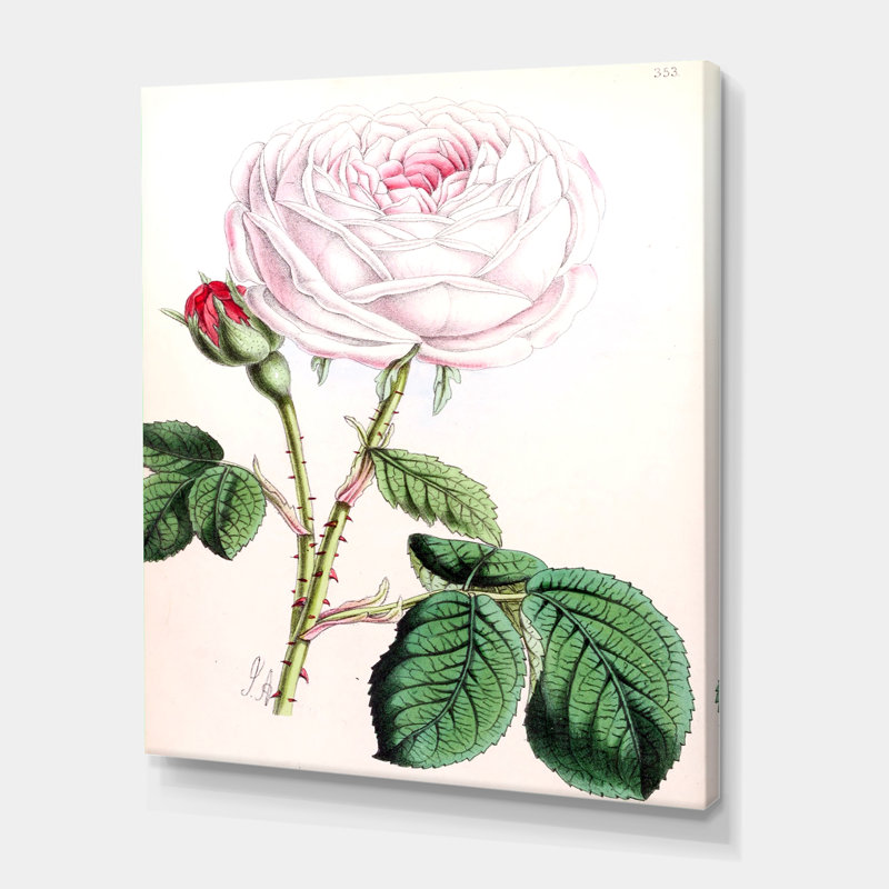 Fleur rose rétro - peinture sur toile, H 32 po x l 16 po x P 1 po, Toile tendue