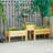 Wooden Elevated Planter Box