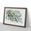 The Olive Branch - Framed Print-55611682-55611684