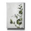 «Eucalyptus» par Svetlana Aleynikova, art mural sur toile-1856305534