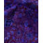 Fine Vibrance One-of-a-Kind 13' 8" X 9' 2" Hand Knotted Area Rug