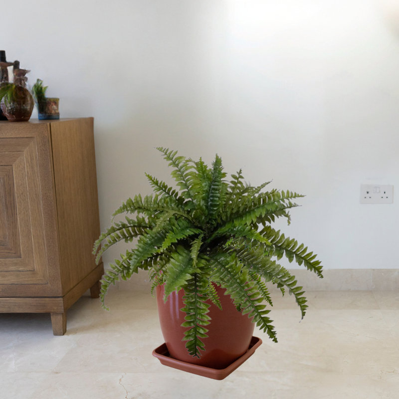 Plante artificielle de 18 po de hauteur