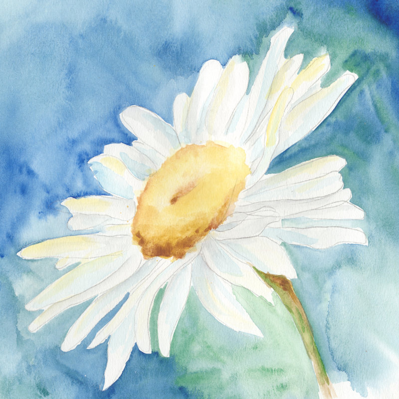 Daisy Sunshine I - Wrapped Canvas Print, 91cm H x 91cm W