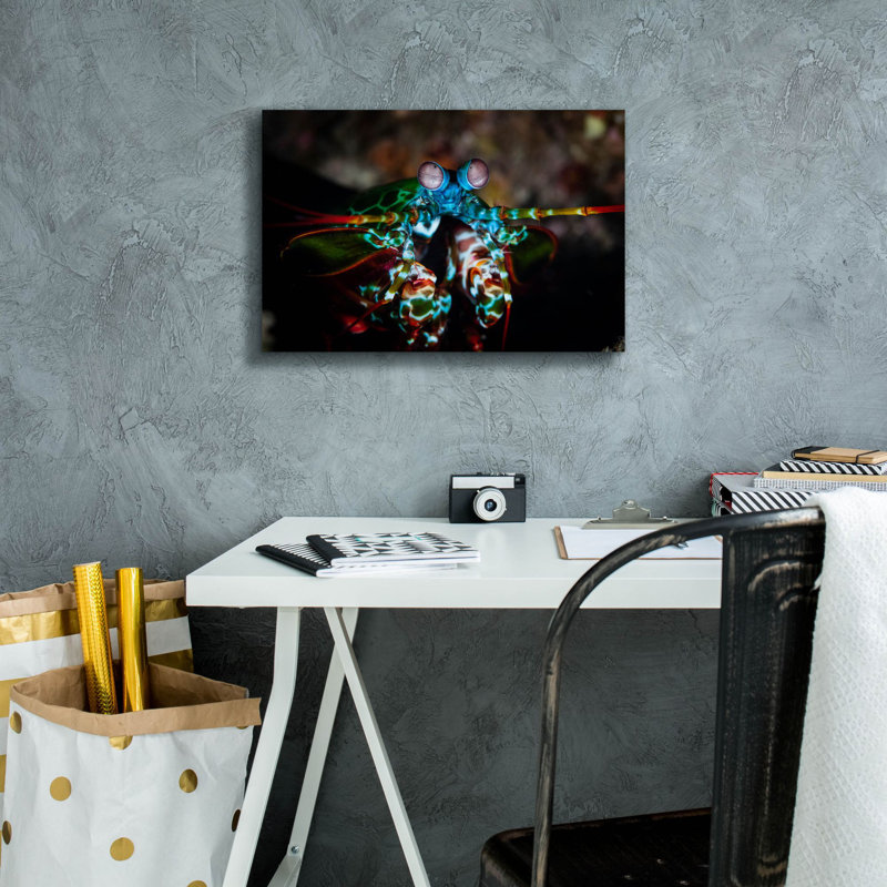 «Peacock Mantis Shrimp» par Epic Portfolio, art mural sur toile, H 12 po x l 18 po x P 0,75 po