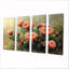 Cactus en pleine floraison à l'aube II - décoration murale cactus floral - art mural traditionnel-536995673-536995677