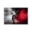 Boze Wall Decor