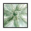 «Macro Sage Flower», impression sur toile-72425488-72425487-30008568
