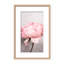 Nature Inspired Peony by  - Picture Frame Photograph on Paper-131284575-131284497-81387085