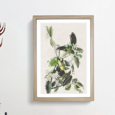 Palm Warbler by John Audubon - Framed Print