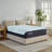 TEMPUR-LuxeAdapt® Soft 13" Mattress-1278546711