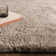 Tachiana Hand Tufted Shaggy Taupe Area Rug