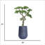 H 56,08 po Bonsai d'une beauté réelle-97779138