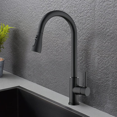 FB WERFY Pull Down Kitchen Faucet