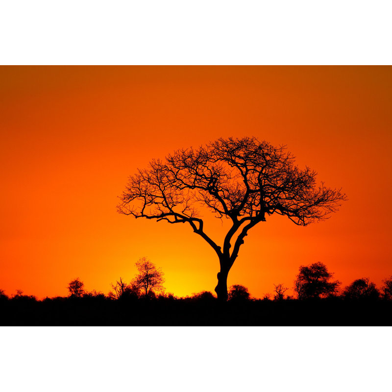 Coucher de soleil africain par Villierssteyn - Photographie sur toile tendue, L 30 po x H 20 po