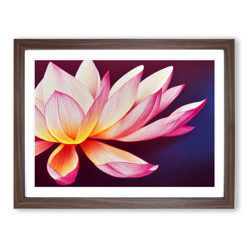 Miraculous Lotus Flower - Framed Print, 46cm H x 64cm W, Walnut Framed
