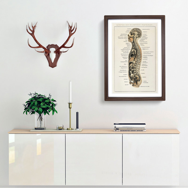 Anatomy Chart in German - Framed Print, Walnut Framed, 65cm H x 48cm W x 2cm D