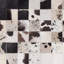 Anya Animal Print Hand Woven Area Rug-43280563