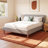 Compass Upholstered Platform Bed-486690230