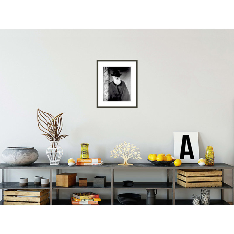 Portrait de Charles Darwin (1809-1882) par Julia Margaret Cameron, impression giclée encadrée, H 20,89 po x l 17,75 po