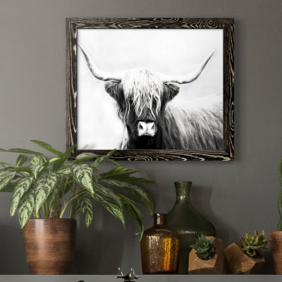 " Highland Longhorn "
