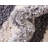 Fowkes Oriental Indoor Rug-1398565639