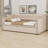 Twin Size Upholstered Daybed With Pop Up Trundle-99051674