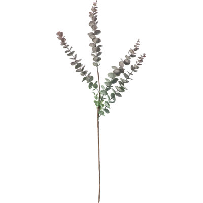 Arrangement