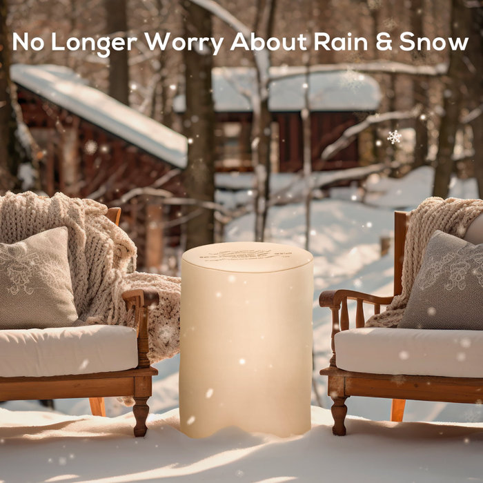 Latitude Run® Chaslynn 19.69" H x 24.41" W Stainless Steel Propane ...