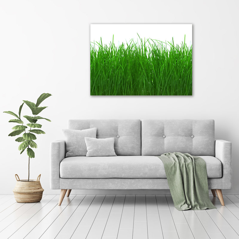 Grass - Wrapped Canvas Print