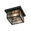 1 - Light Flush Mount