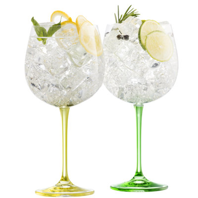 570 ml Gin Balloon Glass Set