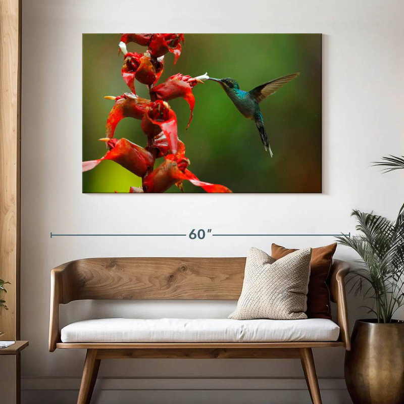 Collation de fleurs de colibri Brampt