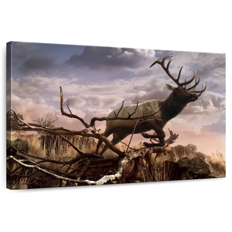 Brampt Elk Adventure, 30" H x 45" W
