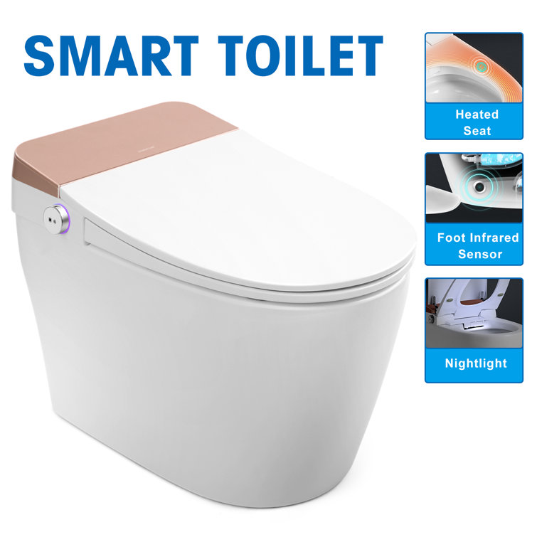 Cosvalve C1040802600 1.28 GPF (Water Efficient) Elongated One-Piece Toilet (Seat Included)