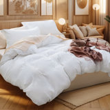 Ensemble de housse de couette prélavé Super Soft
