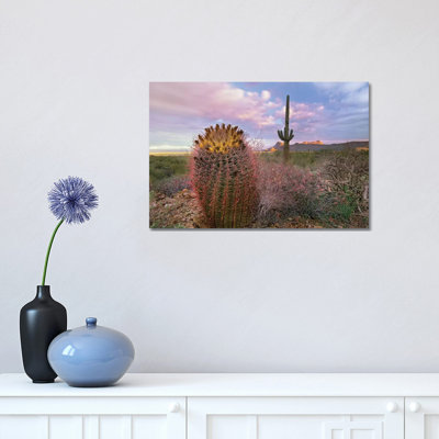 Saguaro and Giant Barrel Cactus With Panther and Safford Peaks in Distance, Saguaro National Park, Arizona 1 Piece Wrapped Canvas Wall Art