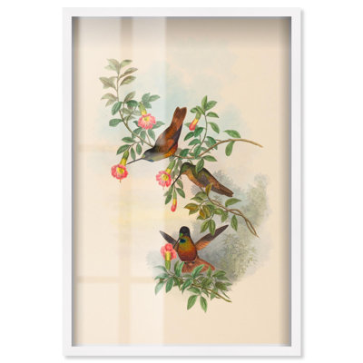 «Sun Drinkers Shadowbox», reproduction d'art botanique par Art Remedy
