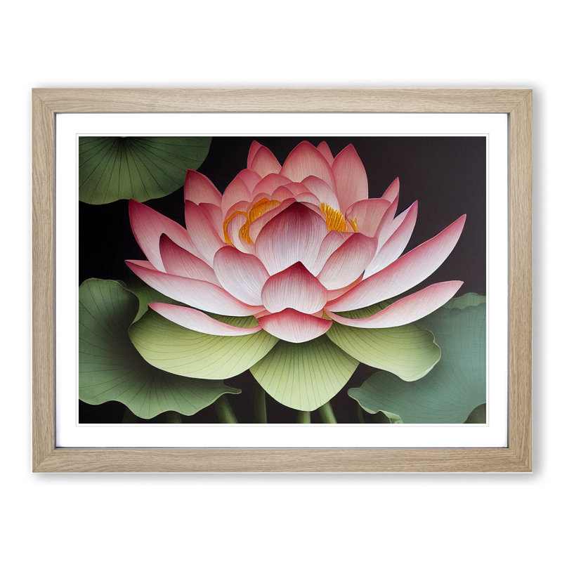 Dramatic Lotus Flower - Single Picture Frame Print, Oak Framed, 34cm H x 46cm W x 2cm D