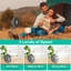 Ventilateur Edge Collections
