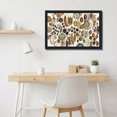 Botanical Seeds and Pods in Vintage Collage Canvas Wall Art