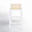 McCarthy Cane Bar & Counter Stool-1825297041-1778590056