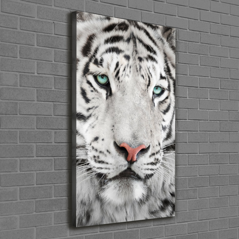 Dogs And Cats - Wrapped Canvas Print