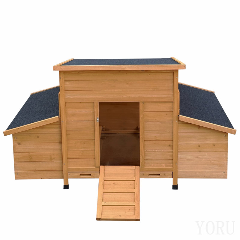 Chicken Coop