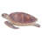 LARGE SEA TURTLE