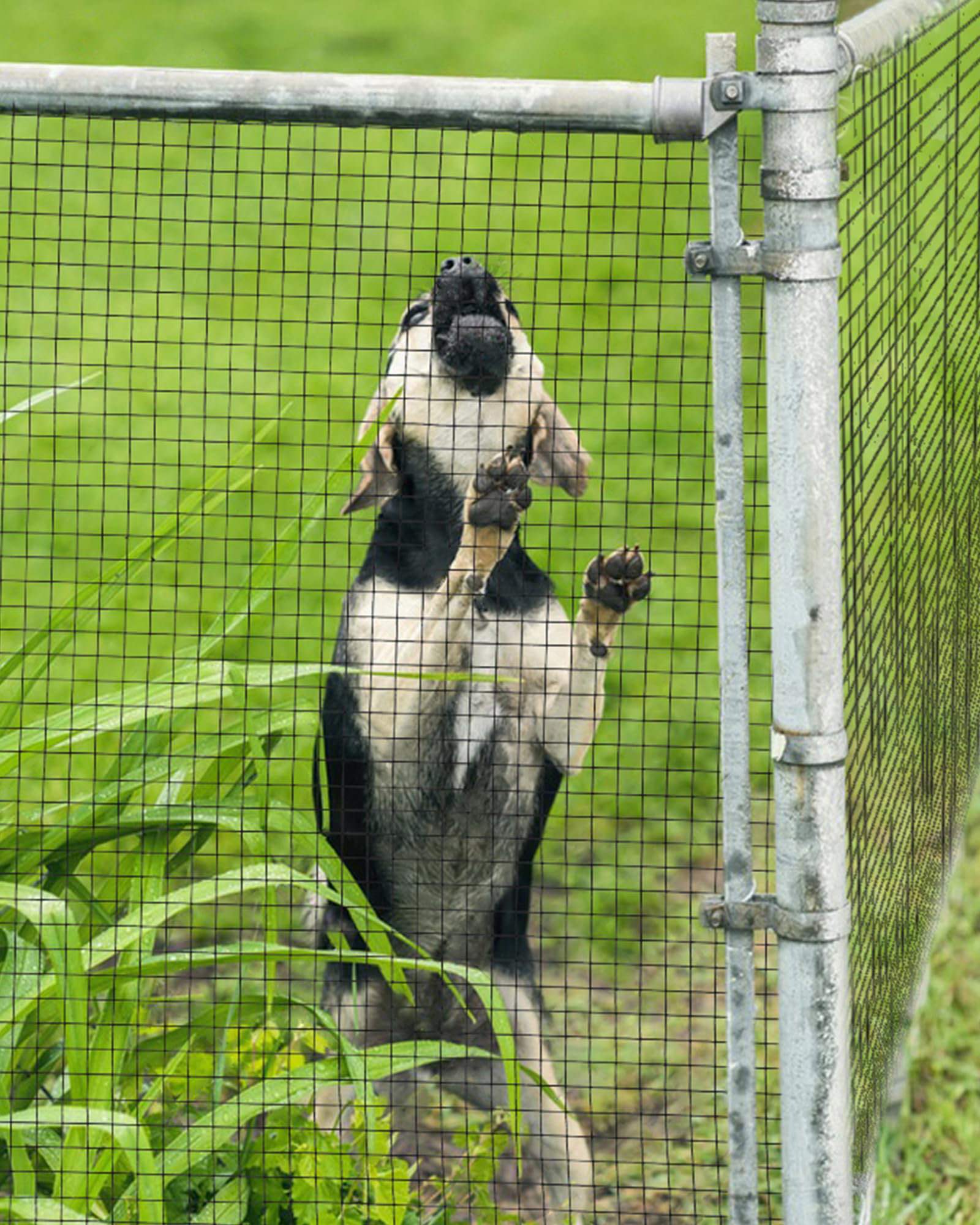 ZACOO Hardware Cloth 1/4 Inch, Chicken Wire Fencing 23 Gauge, 48" X 50