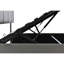 Olen Upholstered EU Kingsize - 160 X 200 Cm Ottoman Storage Bed-167940765-171277938